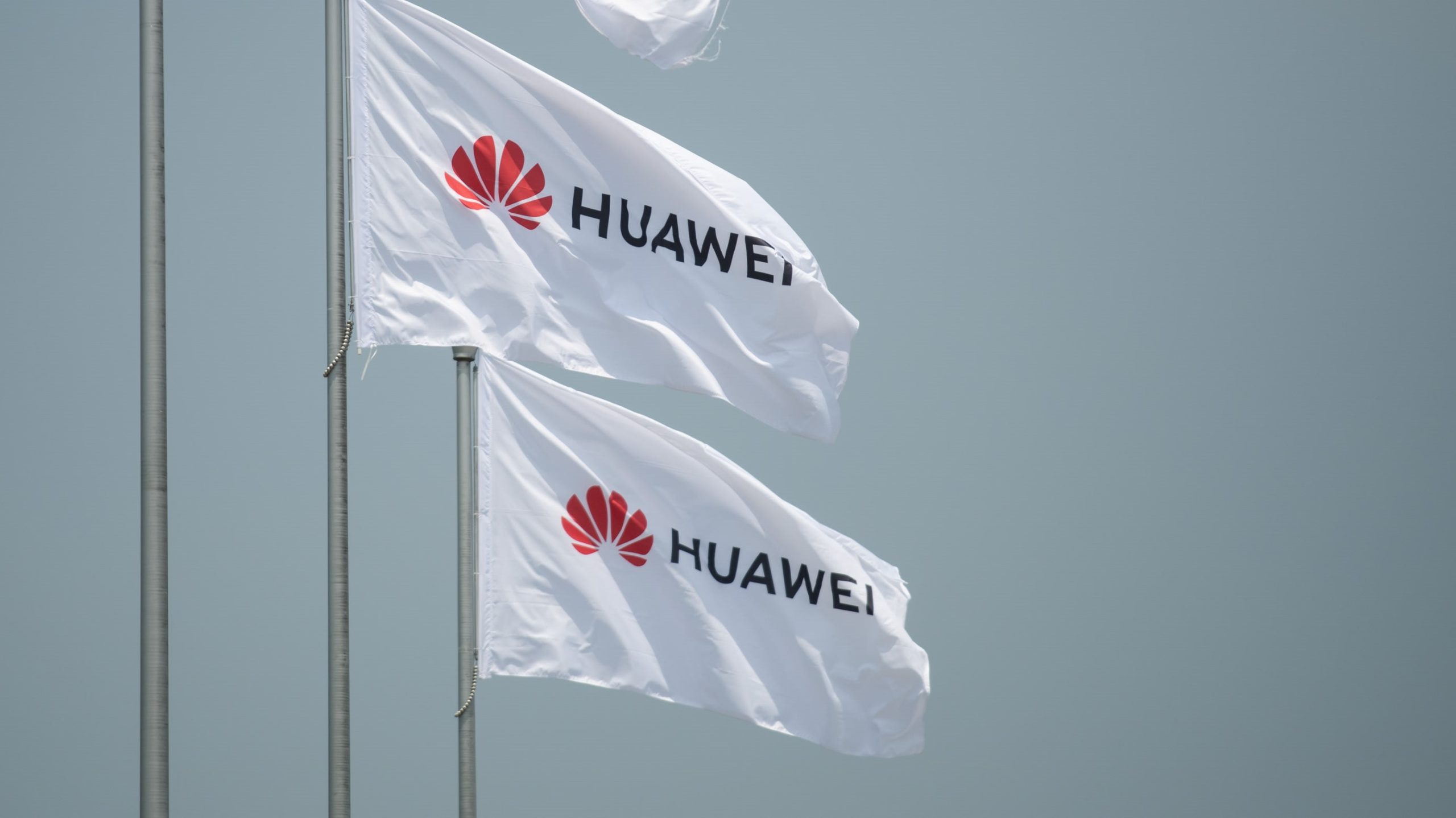 Chinese army backed 20 companies