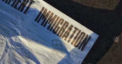 Dementia Patient’s Deportation from Sweden Delayed: A Legal Battle for Residency
